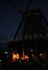 21-18. Fox by Night.JPG